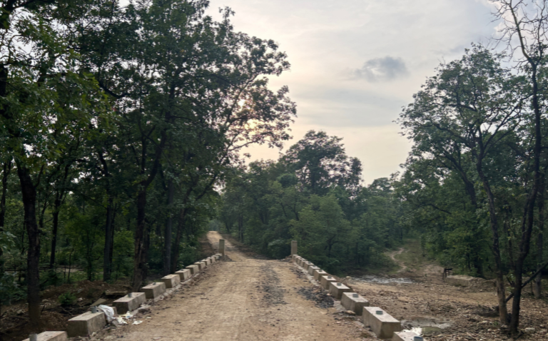 0003-7898660944449399539 3